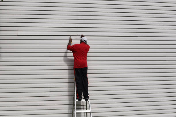 Best Siding Painting and Refinishing  in , CO